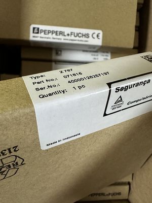 Z787 PEPPERL FUCHS বিচ্ছিন্ন বাধা, Pepperl এবং Fuchs বাধা