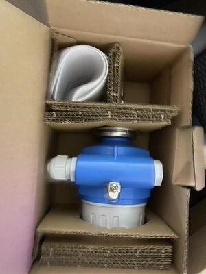 Endress Hauser FTL50-1DN80/0 ভাইব্রোনিক পয়েন্ট লেভেল সুইচ