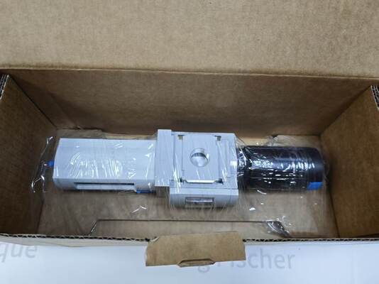 Festo MS6-LFR-12-D6-C-R-M-AS মডুলার ফিল্টার নিয়ন্ত্রক