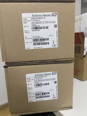 E+H FTL50-1DN80/0 Liquiphant M Vibronic Tuning Fork পয়েন্ট লেভেল সুইচ